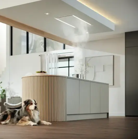 Установка потолочной вытяжки СПб Установка потолочной вытяжки СПб